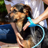 Pet N Wash