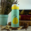 Double Wall Stainless Steel Vacuum Flasks 5
